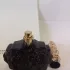Anna Sui La Nuit de Boheme