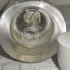 Annick Goutal Chat Perche pic-401919