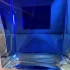 Antonio Banderas Blue Seduction For Men pic-72660