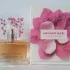 Armand Basi Lovely Blossom