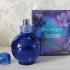 Britney Spears Midnight Fantasy