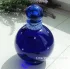 Britney Spears Midnight Fantasy