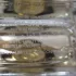 Burberry My Burberry Eau de Toilette pic-196986
