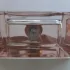 Burberry My Burberry Blush pic-399146