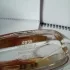 Burberry for Women