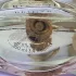 Bvlgari Rose Essentielle pic-10926