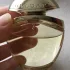 Bvlgari Pour Femme