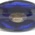 Bvlgari Splendida Tubereuse Mystique