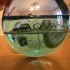 Bvlgari Aqva Marine Pour Homme pic-170972