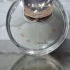 Bvlgari Omnia Crystalline pic-189090