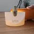 Bvlgari Splendida Patchouli Tentation pic-206901