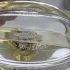 Bvlgari Splendida Iris d`Or pic-320060