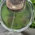 Bvlgari Omnia Crystalline pic-347792
