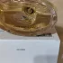 Bvlgari Splendida Rose Rose pic-375467