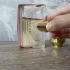 Bvlgari Rose Essentielle