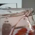 Calvin Klein Women Eau de Parfum pic-44768