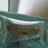Calvin Klein Eternity Air for Women pic-56417