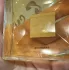 Chanel Gabrielle Essence