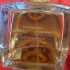 Chanel Les Exclusifs De Chanel Le Lion pic-17614
