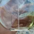 Chanel Chance Eau Fraiche Eau de Parfum