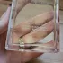 Chanel Allure Sensuelle