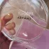 Chanel Chance Eau Vive pic-218119