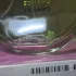 Chanel Chance Eau Fraiche Eau de Parfum pic-225922