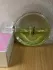 Chanel Chance Eau Fraiche pic-232914