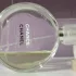 Chanel Chance Eau Fraiche pic-256486