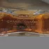 Chanel Coco