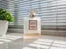 Chanel Coco Mademoiselle L`Eau Privee pic-32166