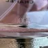 Chanel Chance Eau Tendre pic-322405