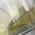 Chanel №19 Eau de Parfum
