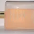 Chanel Coco Mademoiselle L`Eau Privee