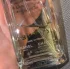 Chanel Cristalle Eau Verte