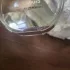 Chanel Chance Eau Fraiche pic-36238