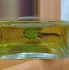 Chanel №19 Poudre