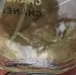 Chanel Chance Eau Fraiche pic-65266