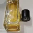 Chanel Les Exclusifs De Chanel Le Lion pic-81214