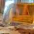 Chanel Les Exclusifs De Chanel Le Lion pic-97410
