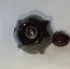 Christian Dior Hypnotic Poison Eau de Parfum pic-100369
