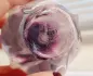 Christian Dior Pure Poison pic-101858