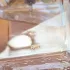Christian Dior Miss Dior Eau De Toilette pic-109740