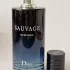 Christian Dior Sauvage Eau De Parfum 2018 pic-110411