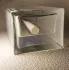 Christian Dior Dior Homme Cologne 2022 pic-148476