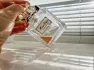 Christian Dior Miss Dior Eau de Toilette 2019 pic-168515