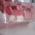 Christian Dior Miss Dior Parfum 2024 pic-207022