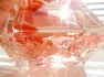 Christian Dior Miss Dior Eau de Toilette 2019 pic-215180