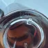 Christian Dior La Collection Privee Feve Delicieuse pic-28957