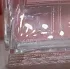 Christian Dior Miss Dior Blooming Bouquet 2023